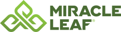 Miracle Leaf 